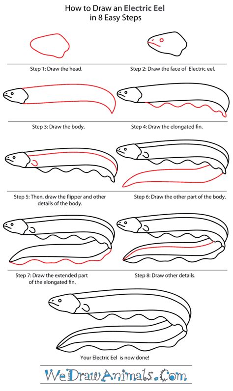 Eel Easy Drawing For Kids Easy Step By Step Drawing Tutorials And