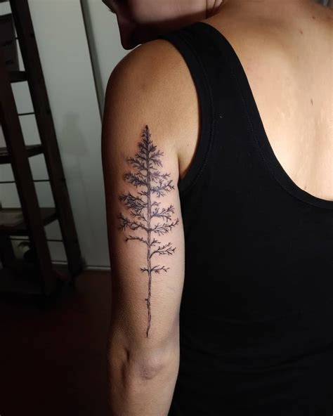 Simple And Easy Pine Tree Tattoo Designs And Meanings 2019 Page 9