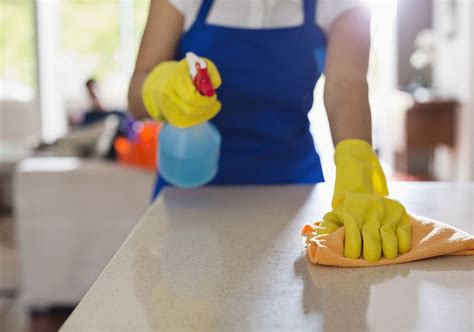 How To Keep Your Kitchen Pest Free Tips And Ideas