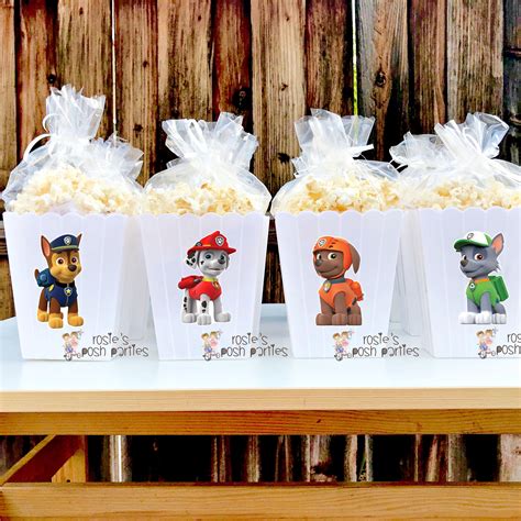 Paw Patrol Birthday Theme Party Popcorn Favors Set Of 12 Themed Popcorn
