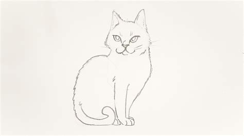 Striptekenen Hoe Teken Je Een Kat En Een Hond Hoe Teken Je Een Kat