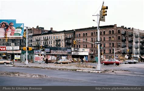 Bronx Nyc Photo
