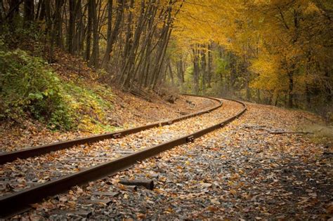 Railroad Tracks In The Fall Stock Image Image Of Nature Train 31175147
