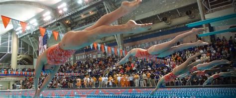 Gator Women Earn Top Spot In The Nation Competitive Swimming Florida