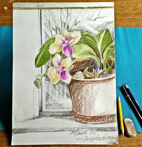 March 30 ~ Orchid Surprise Katherine Hartel