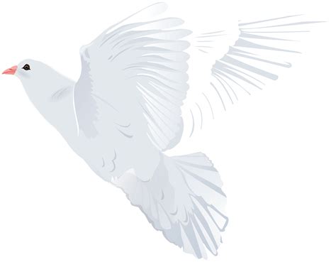 Dove Images Png 20 Free Cliparts Download Images On Clipground 2023