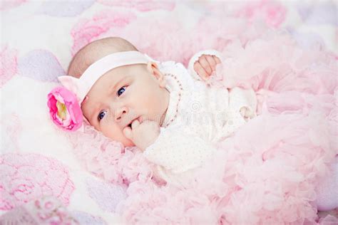 Nouveau Né Photo Stock Image Du Petit Gosse Rose Blanc 22970702