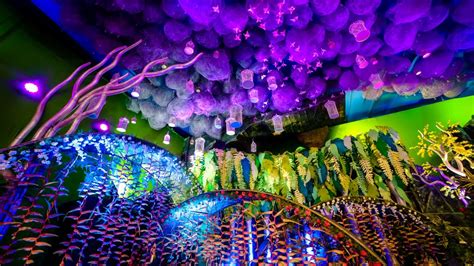 A theme is a combination of desktop background pictures, window colors, and sounds. Creative Wedding Theme & Decorations | Rainforest ...