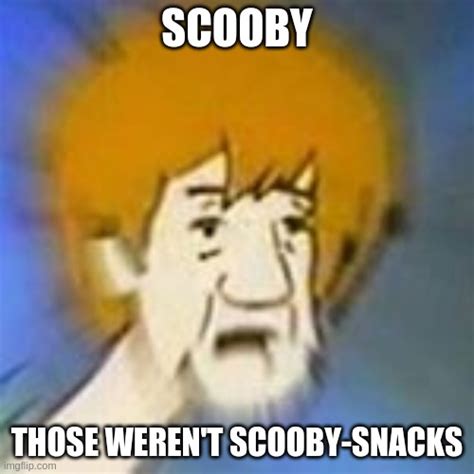 Like Zoinks Man Imgflip