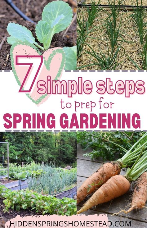 Collage Of Spring Garden Vegetables And Beds Spring Vegetable Garden