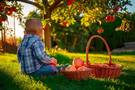 Tienen muchos menos conservantes, y como son recetas económicas te ahorrás una buena cantidad de dinero. Beneficios de consumir frutas y verduras ecológicas ...