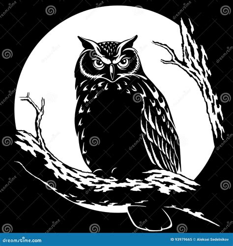 Owl At Night On A Background Of The Moon Vector Illustration Stock