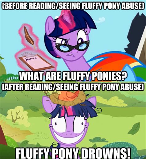 Mlp Fim Memes Fluffy Pony Research Wattpad