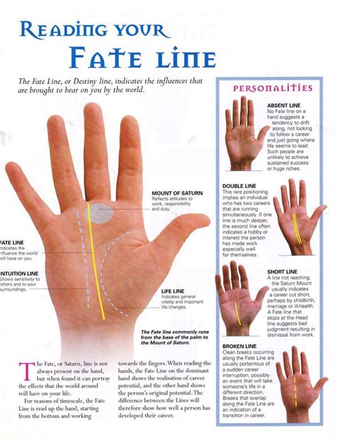 How knobby is the bone structure? Fate line palmistry | Palmistry reading, Palmistry, Palm reading