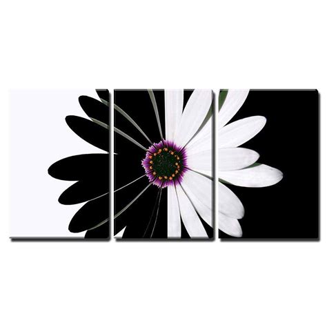 Wall26 3 Piece Black And White Wall Art Daisy Canvas Wall Art Flower