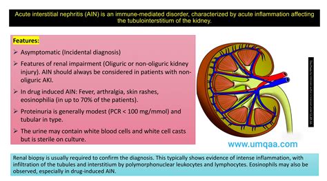 What Are The Causes Of Acute Interstitial Nephritis Ain