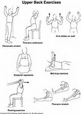 Pictures of Back Exercises For Seniors