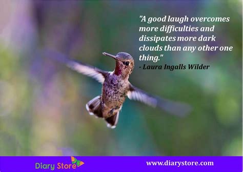 Humor Quotes | Humour Quotes | Inspirational Humor Quotations