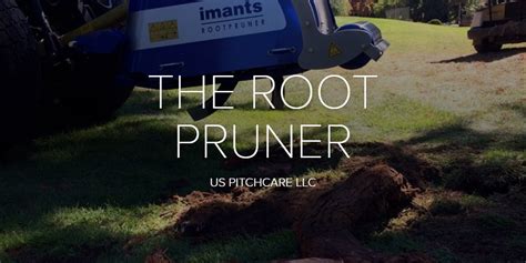 The Root Pruner