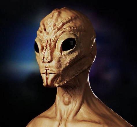 The only thing these people agree on was that alyoshenka looked like a real alien. on the other hand, testimonies of people like nagovsky and glazyrina are dubious: 119 best Aliens images on Pinterest | Aliens, Monsters and ...
