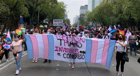Qu Es La Ley De Infancias Trans Con Mil Firmas Avanza En Congreso