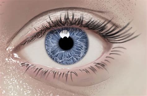 Eye Iris Drawing At PaintingValley Com Explore Collection Of Eye Iris