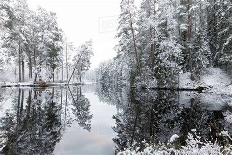 Forest Lake With Trees Covered By Snow In Lotorp Sweden