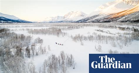 ‘the treeline is out of control how the climate crisis is turning the arctic green climate