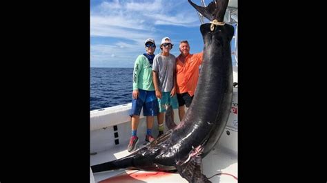 A Record Breaking Swordfish Was Caught After An 8 Hour Fight Its