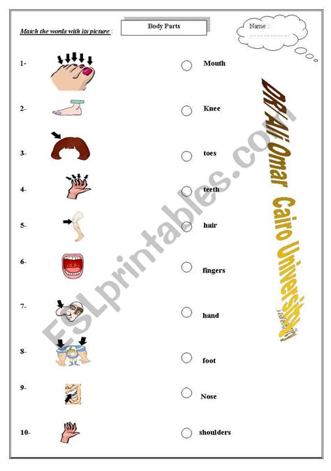 english worksheets body parts