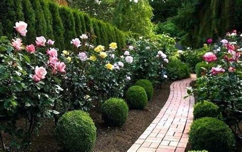 40 Amazing Rose Garden Ideas For Your Backyard Rose Garden Design