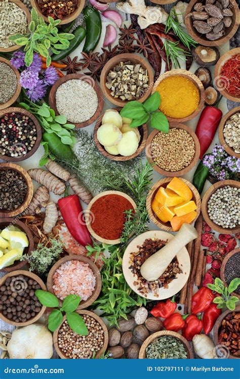 Fresh And Dried Herbs And Spices Stock Image Image Of Citrus Food