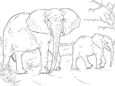 African Elephants Coloring Page Free Printable Coloring Pages For Kids