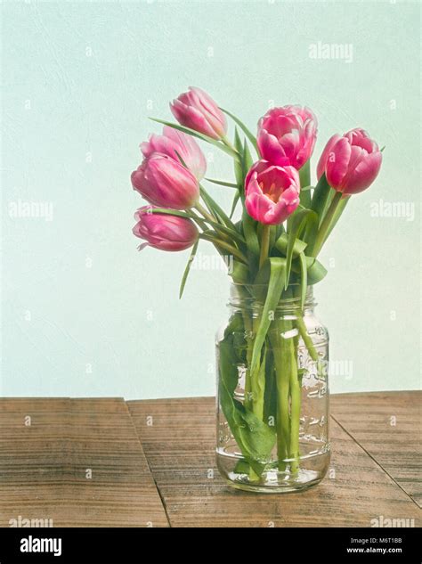 Pink Tulips In A Clear Mason Jar Vase Stock Photo Alamy