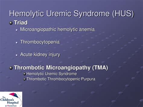 Ppt Hemolytic Uremic Syndrome Powerpoint Presentation Free Download