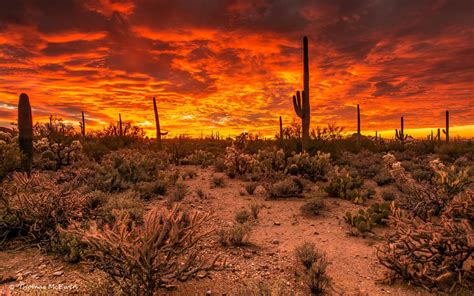 Western Sunset Arizona Sunset Arizona Landscape Sunset