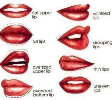 25 Best Lip Fillers Images On Pinterest Lip Fillers Lips And Price List