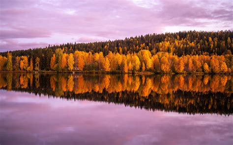 Download Wallpaper 3840x2400 Forest Trees Lake Reflection Autumn