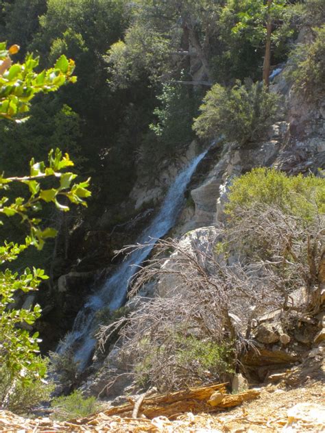 Guide To Hiking San Gorgonio Mountain Via The Vivian Creek Trailhead