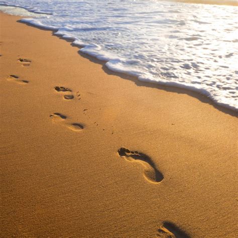 10 New Images Of Footprints In The Sand Full Hd 1920×1080 For Pc