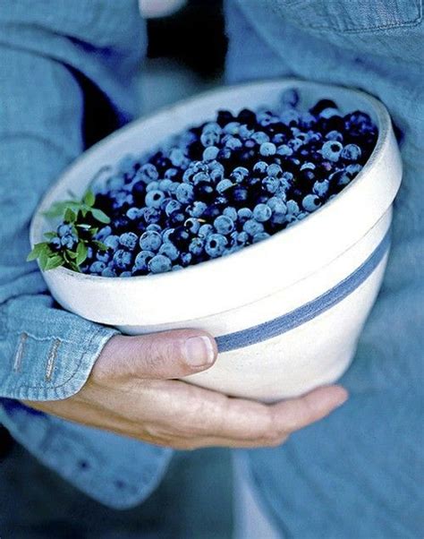 Pin By Sammie Russell 4 On Blueberry Cottage Blueberry Recipes