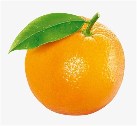 Orange Clipart Png 10 Free Cliparts Download Images On Clipground 2021