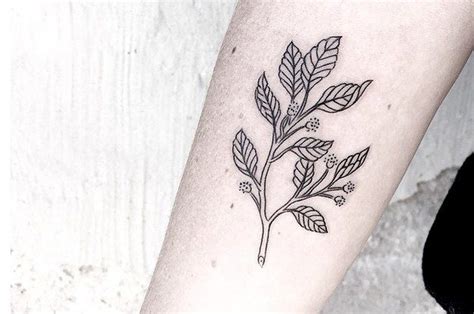 24 Beautiful Australian Tattoos You Definitely Wouldnt Regret Australian Tattoo Beautiful
