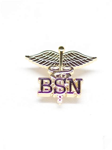 Emi Bsn Letters On Caduceus Emblem Pin Bachelors Of