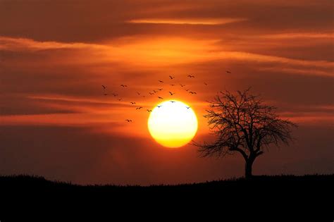 Nature Pictures Sunset Sunrise And Sunset Beautiful Natural Landscape