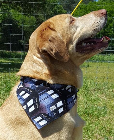 These Are Tardis Themed Bandanas That Slide Onto Your Pets Collar All