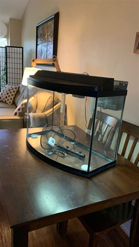 40 Gallon Bow Front Aquarium For Sale In Seattle Wa Offerup