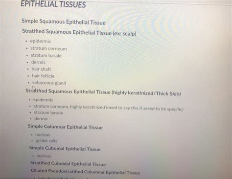 Are there any print outs from websites i can print out to aid me in labeling and memorization of the skeleton of the human body? Solved: Please Use A Word Document Or Google Doc For Your ... | Chegg.com