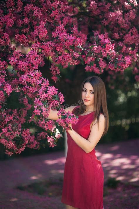 Beautiful Lady Stand By The Big Blooming Tree Voilet Color Happy Girl