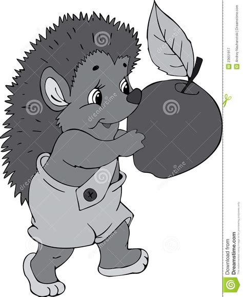 Hedgehog Stock Vector Illustration Of Celebration Isolated 23651917
